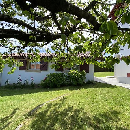 어룬 Calicho B&B 외부 사진